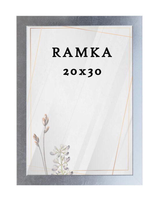 Ramka DAISY 20x30 SREBRNA Ramka DAISY 20x30 SREBRNA