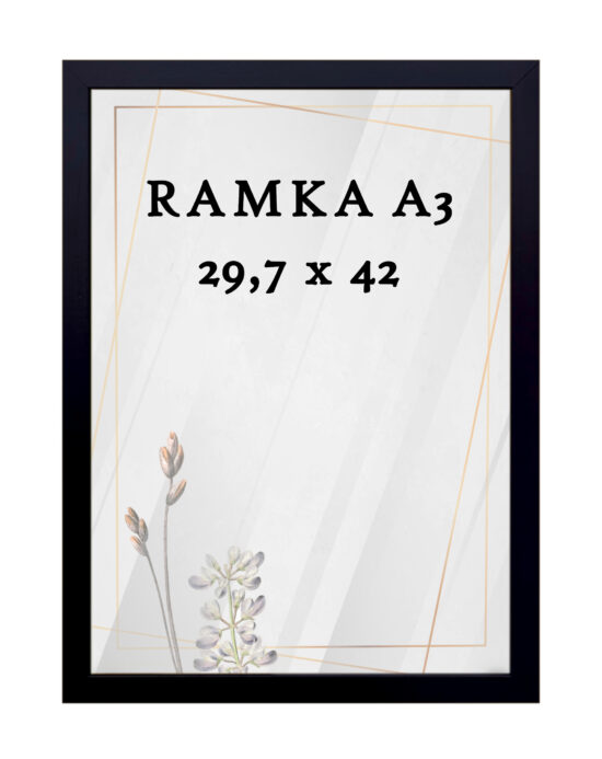 Ramka DAISY 29,7x42 (A3) CZARNA Ramka DAISY 29,7x42 (A3) CZARNA