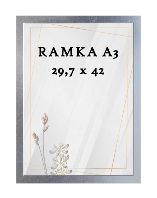 Ramka DAISY 29,7x42 (A3) SREBRNA Ramka DAISY 29,7x42 (A3) SREBRNA