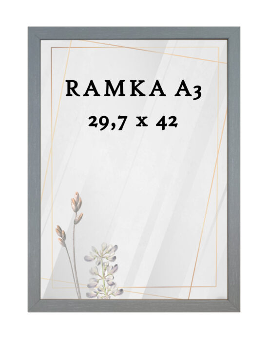 Ramka DAISY 29,7x42 (A3) SZARA Ramka DAISY 29,7x42 (A3) SZARA