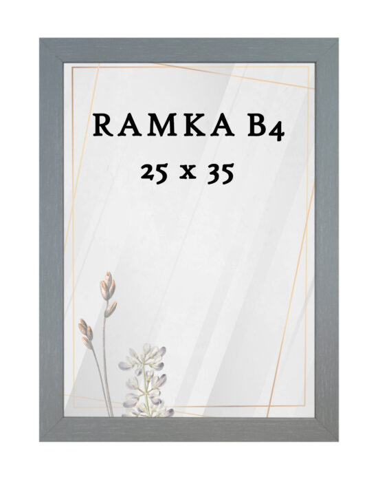 Ramka DAISY 25x35 (B4) SZARA Ramka DAISY 25x35 (B4) SZARA