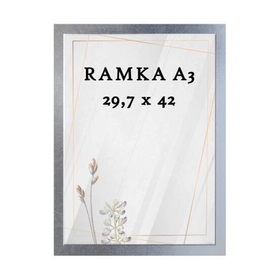 Ramka DAISY 29,7x42 (A3) SREBRNA Ramka DAISY 29,7x42 (A3) SREBRNA